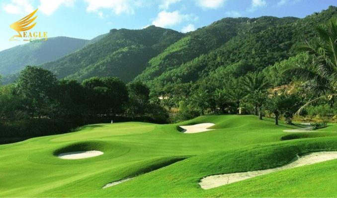 ảnh bìa sửa chữa gậy golf